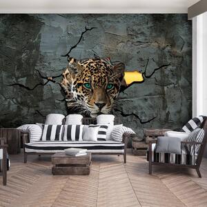 Foto tapeta - Jaguar iza cementnog zida (152,5x104 cm)