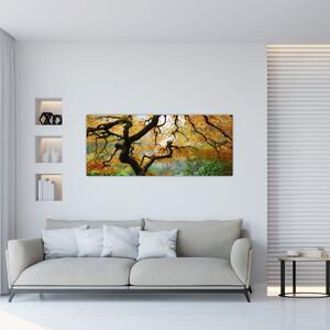 Slika rumenega japonskega javorja, Portland, Oregon (120x50 cm)
