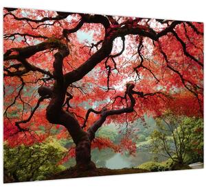 Slika rdečega japonskega javorja, Portland, Oregon (70x50 cm)