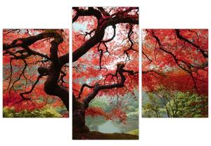 Slika rdečega japonskega javorja, Portland, Oregon (90x60 cm)