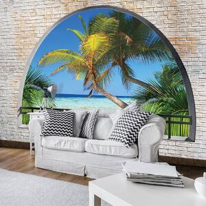 Foto tapeta - Pogled na palme (152,5x104 cm)