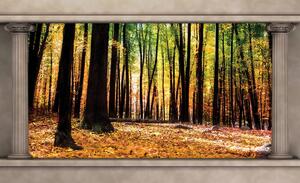 Foto tapeta - Jesenska šuma (152,5x104 cm)