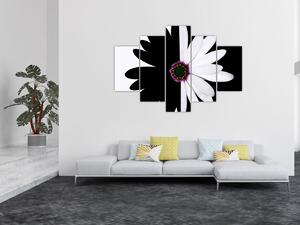 Slika črno-bele rože (150x105 cm)