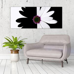 Slika črno-bele rože (120x50 cm)