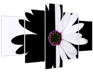Slika črno-bele rože (150x105 cm)