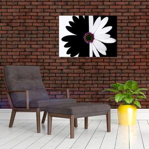 Slika črno-bele rože (70x50 cm)