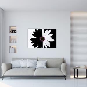 Slika črno-bele rože (90x60 cm)