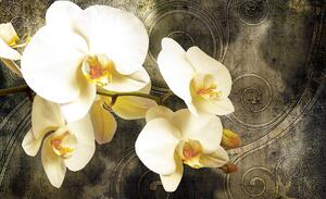 Foto tapeta - Orhideje (152,5x104 cm)