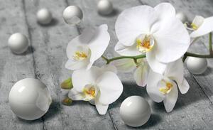 Foto tapeta - Bijele orhideje (152,5x104 cm)