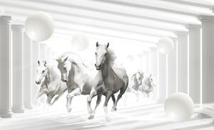 Foto tapeta - Bijeli konji između stupova (152,5x104 cm)