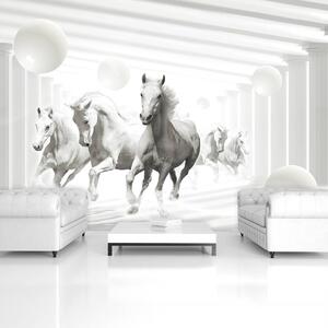 Foto tapeta - Bijeli konji između stupova (152,5x104 cm)