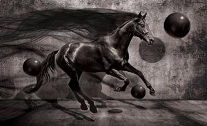 Foto tapeta - Crni konj (152,5x104 cm)