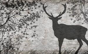 Foto tapeta - Sjena jelena na sivom zidu (152,5x104 cm)