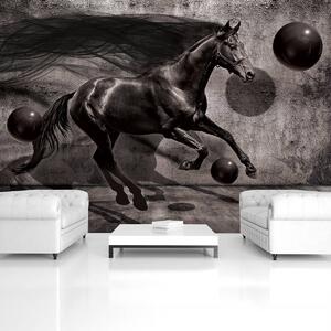 Foto tapeta - Crni konj (152,5x104 cm)