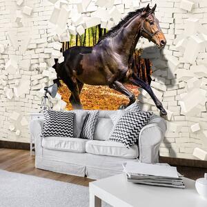 Foto tapeta - Konj je iskočio iz zida - 3D (152,5x104 cm)