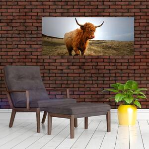 Slika škotske krave (120x50 cm)