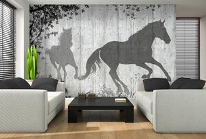 Foto tapeta - Sjene konja na sivom zidu (152,5x104 cm)