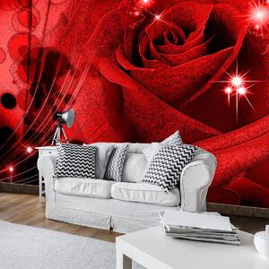 Foto tapeta - Crvena ruža (152,5x104 cm)