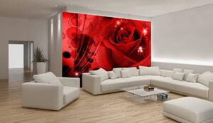 Foto tapeta - Crvena ruža (152,5x104 cm)