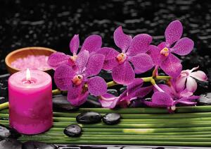 Foto tapeta - Ružičaste orhideje (152,5x104 cm)