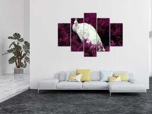Slika - Bijeli paun (150x105 cm)