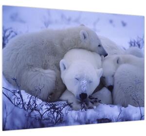 Slika - Polarni medvjedi (70x50 cm)