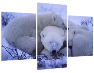 Slika - Polarni medvjedi (90x60 cm)