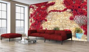 Foto tapeta - Zid sa cvijećem (152,5x104 cm)