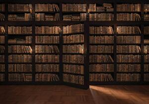 Foto tapeta - Knjižnica puna knjiga (152,5x104 cm)