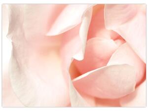 Slika - Ruža (70x50 cm)