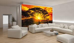 Foto tapeta - Zalazak sunca krajolik (152,5x104 cm)