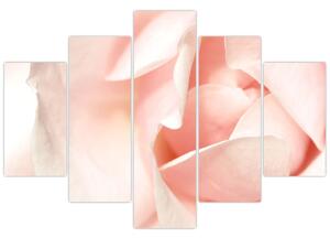Slika - Ruža (150x105 cm)