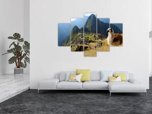 Slika - Lama i Machu Picchu (150x105 cm)