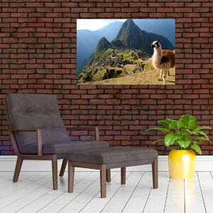 Slika - Lama i Machu Picchu (90x60 cm)