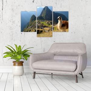 Slika - Lama i Machu Picchu (90x60 cm)