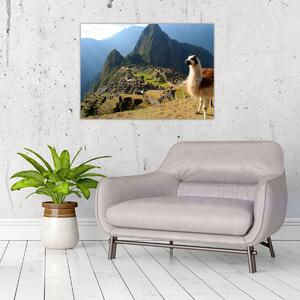 Slika - Lama i Machu Picchu (70x50 cm)