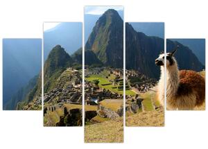 Slika - Lama i Machu Picchu (150x105 cm)