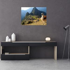 Slika - Lama i Machu Picchu (70x50 cm)