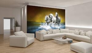 Foto tapeta - Bijeli konj galopira po vodi (152,5x104 cm)