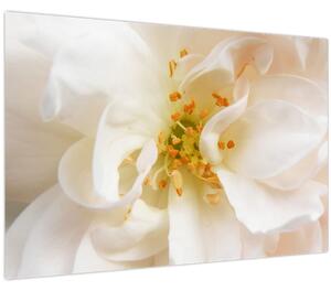 Slika - Cvijet (90x60 cm)