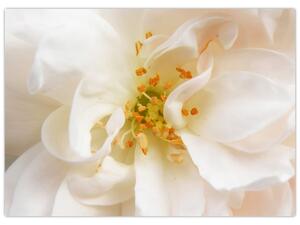 Slika - Cvijet (70x50 cm)