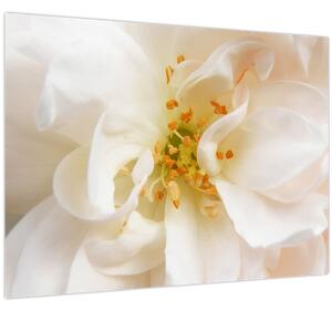 Slika - Cvijet (70x50 cm)