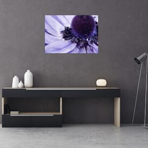 Slika - Ljubičasti cvijet (70x50 cm)