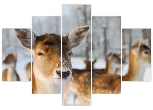 Slika -Bambi (150x105 cm)