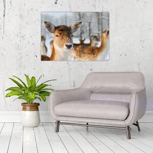 Slika -Bambi (70x50 cm)