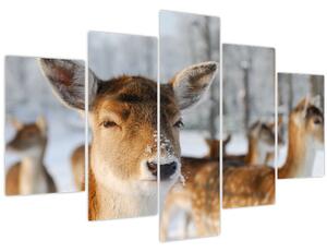 Slika -Bambi (150x105 cm)