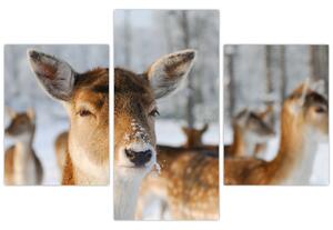 Slika -Bambi (90x60 cm)