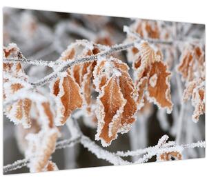 Slika - Smrznuto lišće (90x60 cm)