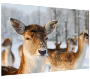 Slika -Bambi (90x60 cm)