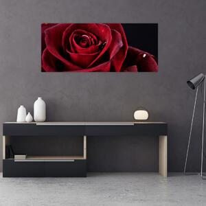 Slika - Crvena ruža (120x50 cm)